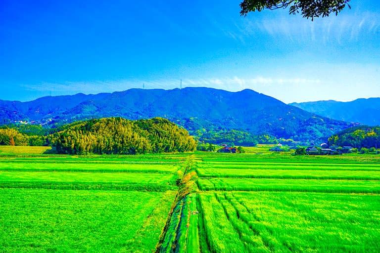 田舎の土地を所有している方向けの土地活用ランキングBEST5