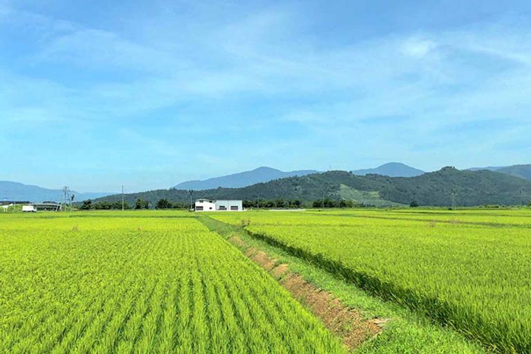 遊休農地とはどんな土地?耕作放棄地・荒廃農地の違いや放置することによるデメリットなどを解説