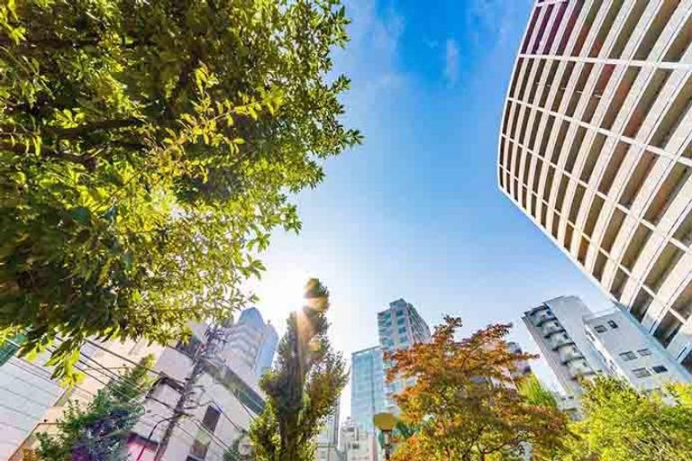 戸建て賃貸経営をするメリットは?アパート経営とどっちがいい?