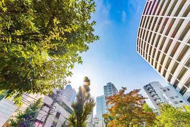 再建築不可な市街化調整区域|裏ワザとなり得る土地活用方法はある?