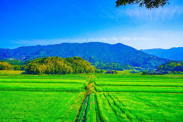 土地を早く確実に売る方法を紹介!最速で手放すには買取がおすすめ