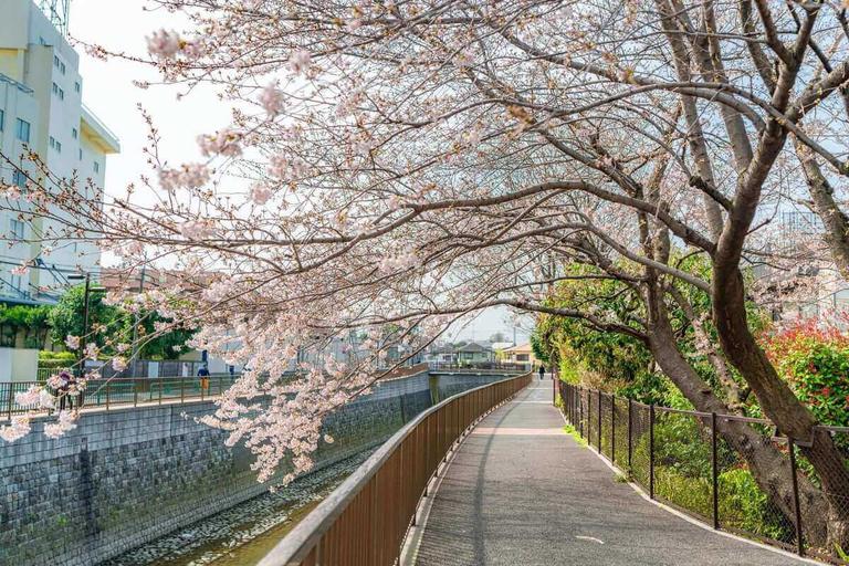 方南町の住みやすさは?都心へのアクセスやおすすめスポット5選