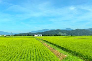 500坪の土地活用をするメリットとおすすめの土地活用方法