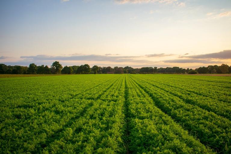 1,000坪は土地活用がおすすめ