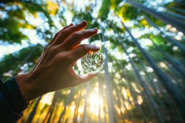 山で始める5つの土地活用|放置をしないでお金を稼いでいこう