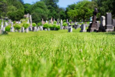 墓地として土地活用するメリット・デメリットとは?墓地運営の始め方も解説